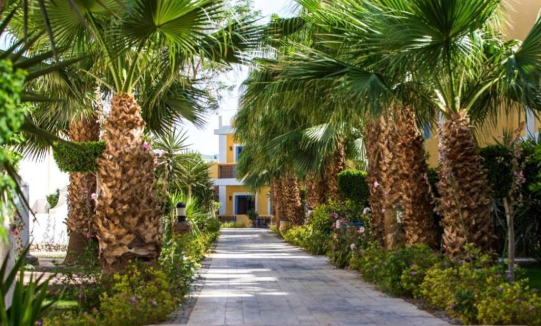 Lillyland Mirage Bay & Aqua Park Hotel