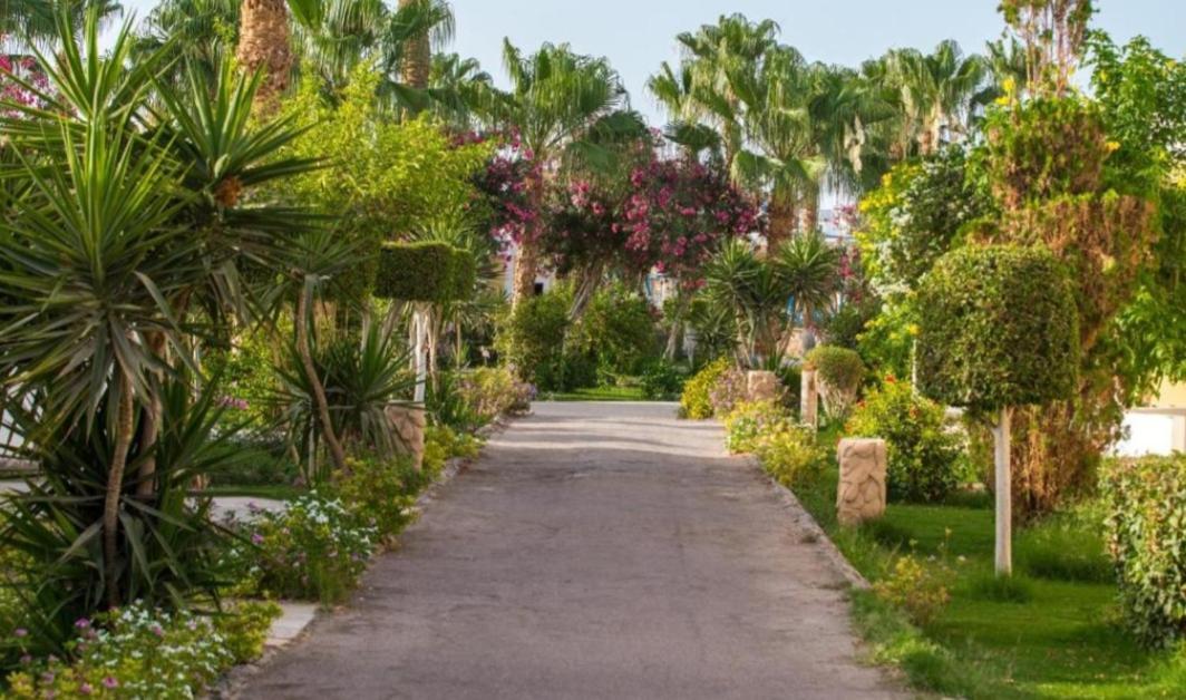 Lillyland Mirage Bay & Aqua Park Hotel Hurghada